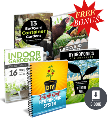The Indoor Garden Secret book